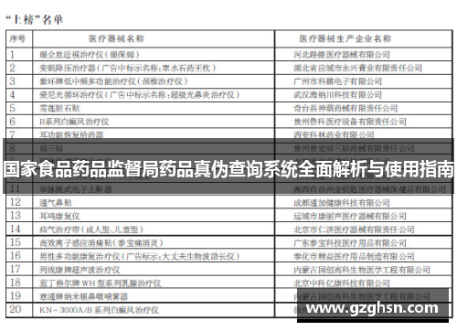 国家食品药品监督局药品真伪查询系统全面解析与使用指南