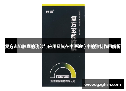 复方玄驹胶囊的功效与应用及其在中医治疗中的独特作用解析