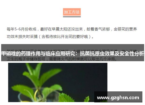 甲硝唑的药理作用与临床应用研究:抗菌抗原虫效果及安全性分析 甲硝唑的药理作用与临床应用研究:抗菌抗原虫效果及安全性分析
