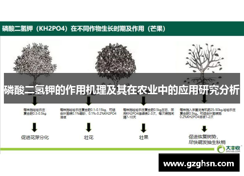 磷酸二氢钾的作用机理及其在农业中的应用研究分析