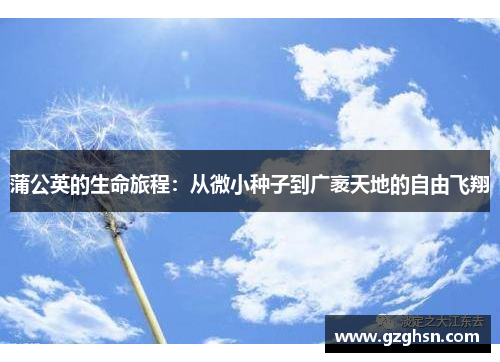 蒲公英的生命旅程：从微小种子到广袤天地的自由飞翔