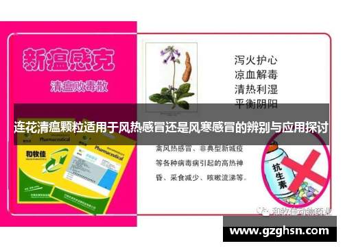 连花清瘟颗粒适用于风热感冒还是风寒感冒的辨别与应用探讨 连花清瘟颗粒适用于风热感冒还是风寒感冒的辨别与应用探讨
